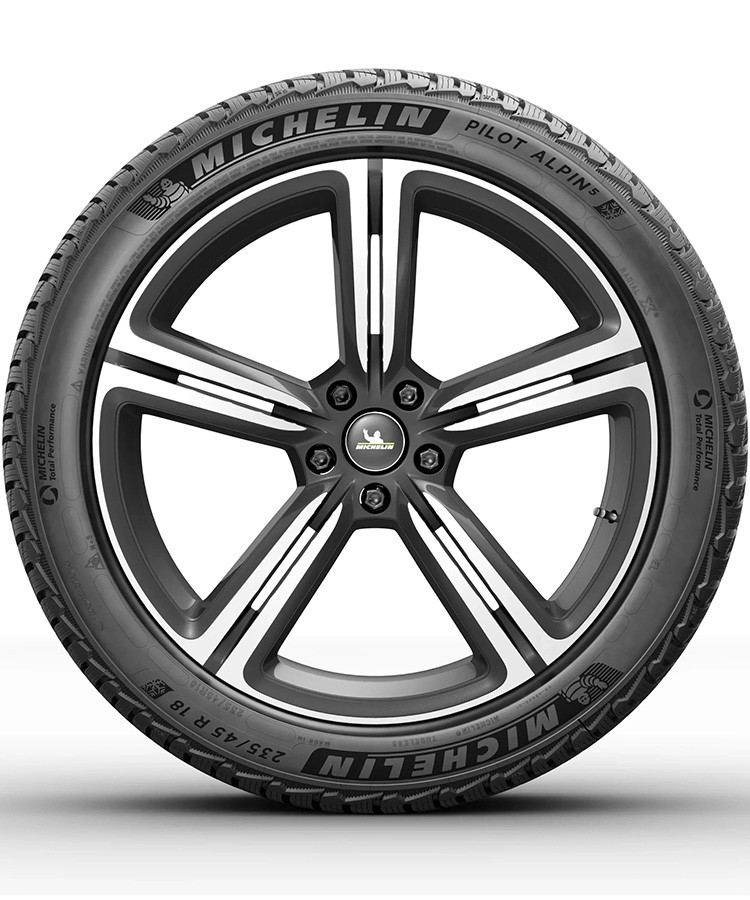 Michelin Pilot Alpin 5 245/40 R20 99W (XL) заказать